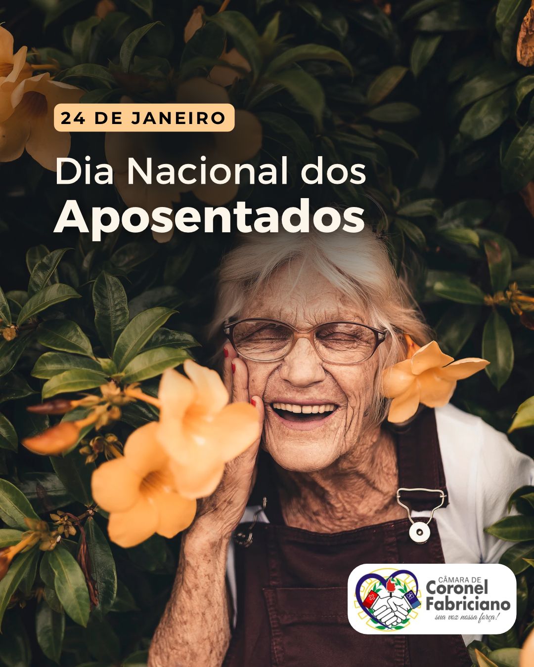  Dia do Aposentado